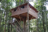 Camp Trésor