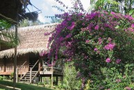 Tolenga Lodge