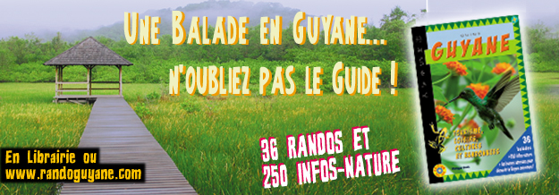 Guide Guyane de Philippe Boré