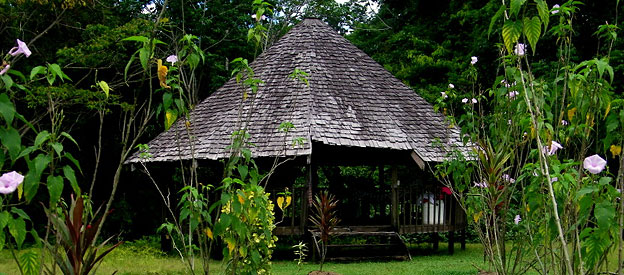 Carbet au Village de Saut Athanase Carbet au Village de Saut Athanase
