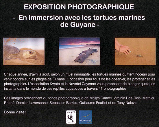 Exposition Kwata - "En immersion avec les tortues marines de Guyane" Exposition Kwata - "En immersion avec les tortues marines de Guyane"