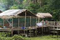 Matiti Paradise