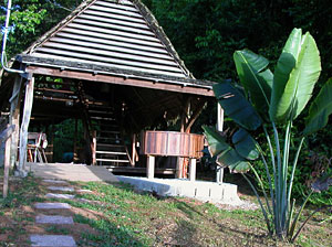 Carbet Ananas Carbet Ananas