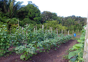Exploitation agricole Exploitation agricole