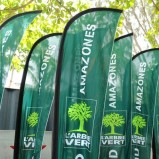 Raid l'Arbre Vert
