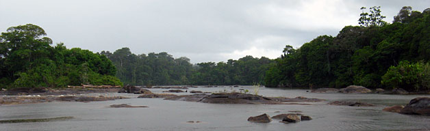 Fleuve de Guyane Fleuve de Guyane