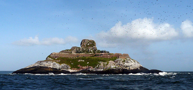 Île du Connétable - Crédit photo : A. Renaudier Île du Connétable - Crédit photo : A. Renaudier