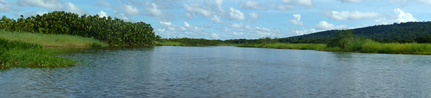 Marais de Kaw - J. Le Jaouan Marais de Kaw - J. Le Jaouan