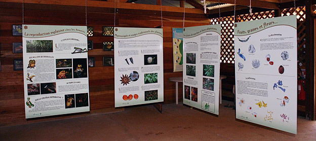 Exposition au carbet Trésor Exposition au carbet Trésor