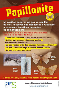 Flyer Papillonite ARS