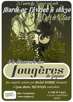 A la découverte des fougères de Guyane