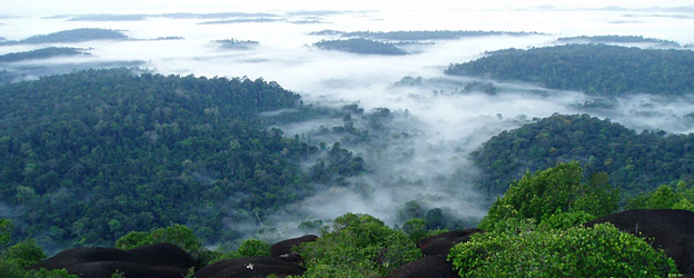 Vue de la reserve - © J.-F. Szpigel