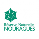 Logo Réserve naturelle des Nouragues