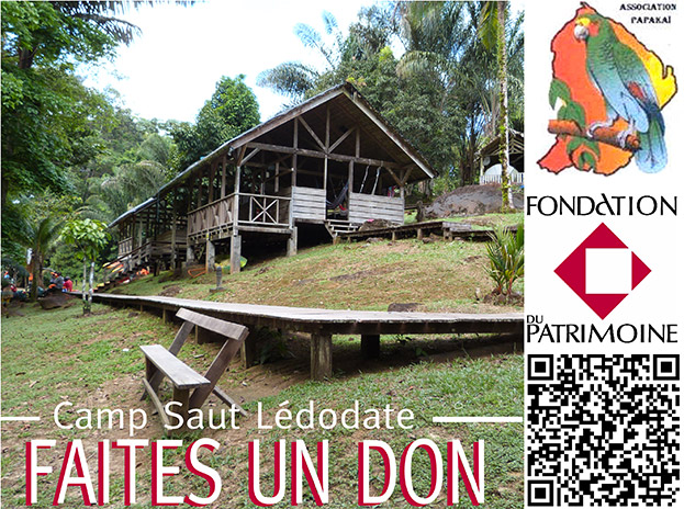 Saut Léodate