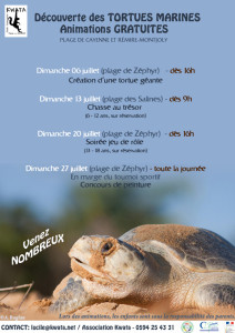 Découverte des tortues marines - Programme 2014