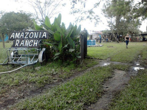 Ranch-Amazonia