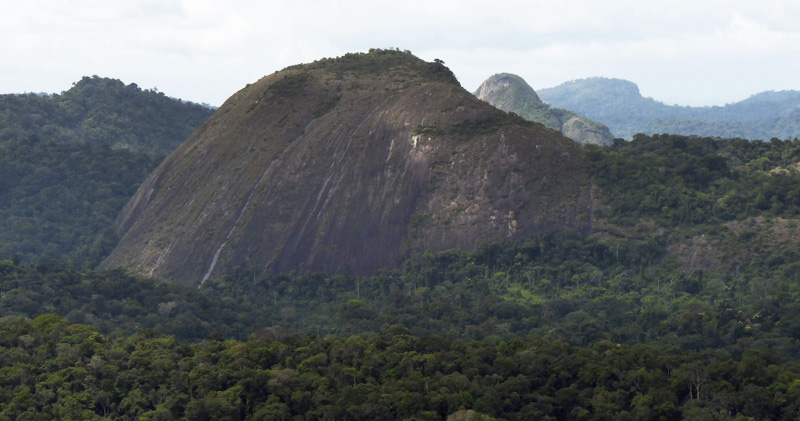 Mitaraka-ONF-Guyane-Caroline-Bedeau2