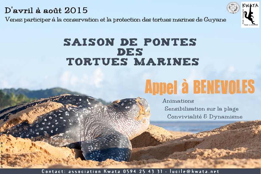 affiche appel à benevole 2015
