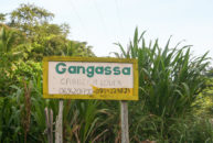 Gangassa