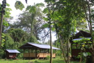 Chez Kami