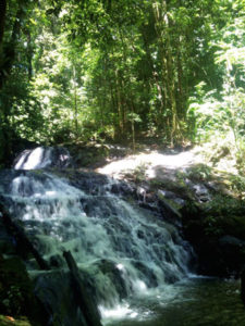 cascades