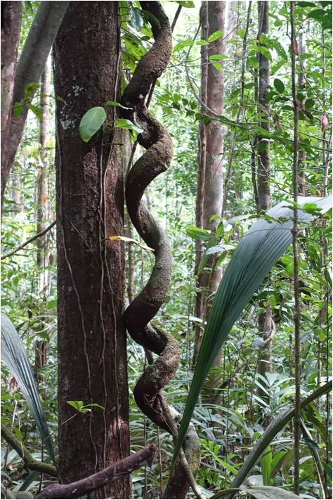 Image3