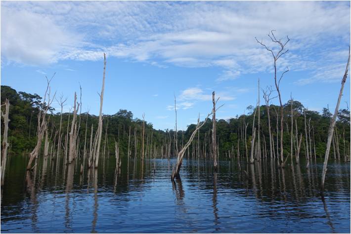 Image6