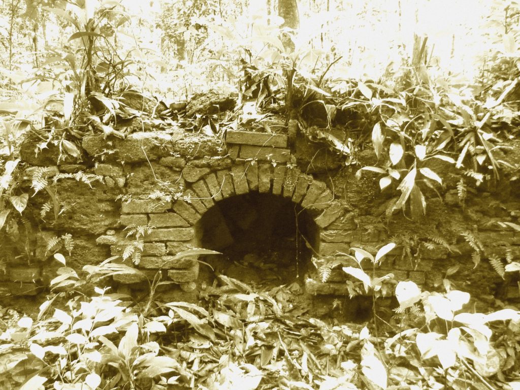 guyane 2203SEPIA
