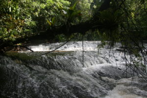 Cascades_04