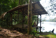 Carbets du sentier Anaoua
