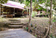 L’école de la nature