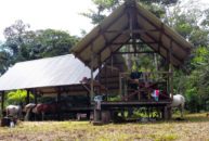 Ferme équestre de la Césarée